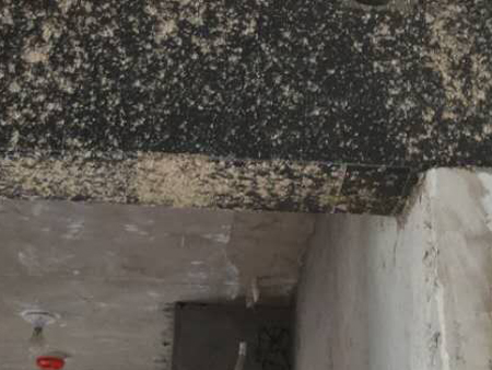 1648611874180163.jpg 微信图片_20200619182636.jpg