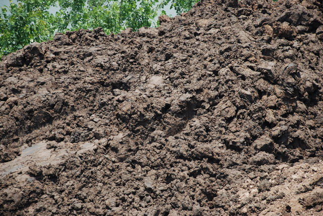 1770273739468527.jpg 淤泥.jpg